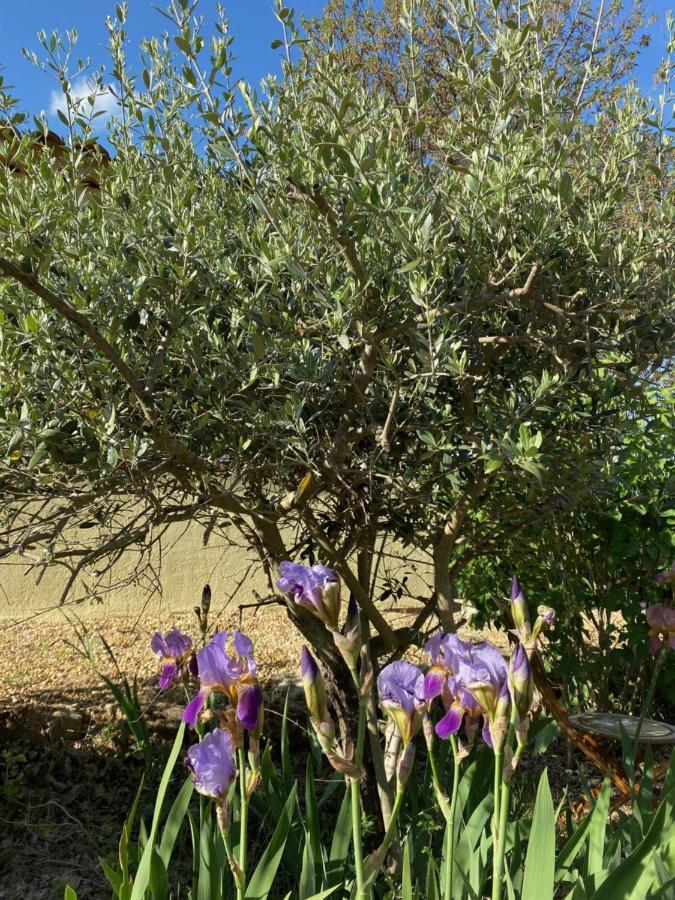 L'Eveil En Provence Entrecasteaux Exterior foto
